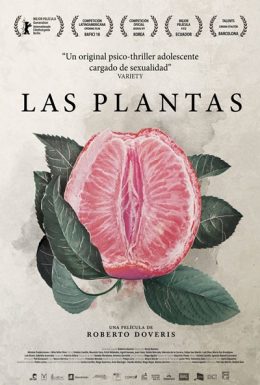 poster-plantas-260x385